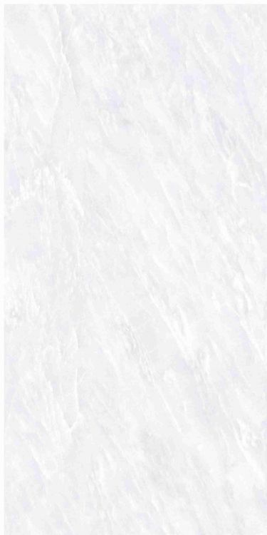 OL Vivid White Matte 12 x 24